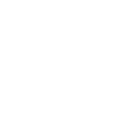 Data Collection Assistant